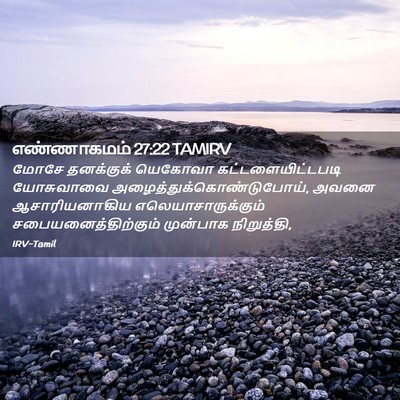 Picture 02 - எண்ணாகமம் 27:22 TAMIRV - மோசே தனக்குக் - Bible Verse Picture