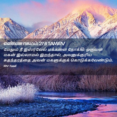Picture 02 - எண்ணாகமம் 27:8 TAMIRV - மேலும் நீ - Bible Verse Picture