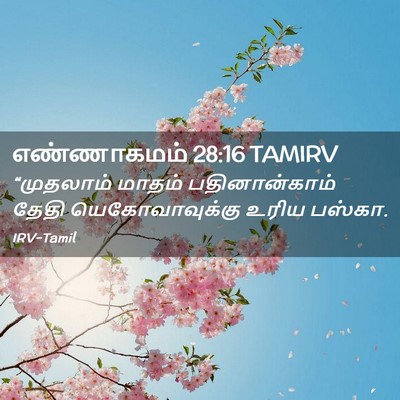 Picture 02 - எண்ணாகமம் 28:16 TAMIRV - “முதலாம் மாதம் - Bible Verse Picture