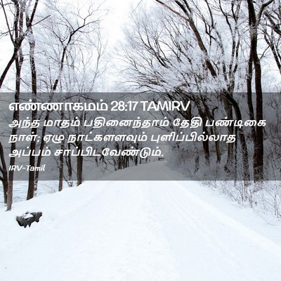 Picture 02 - எண்ணாகமம் 28:17 TAMIRV - அந்த மாதம் - Bible Verse Picture
