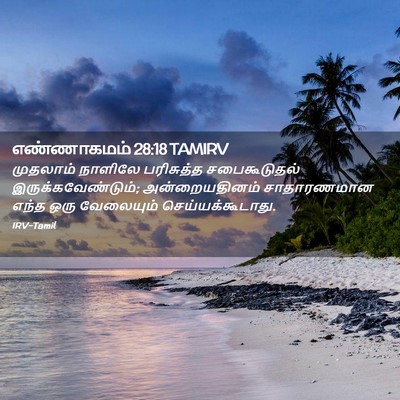 Picture 02 - எண்ணாகமம் 28:18 TAMIRV - முதலாம் நாளிலே - Bible Verse Picture