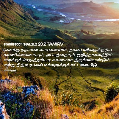 Picture 02 - எண்ணாகமம் 28:2 TAMIRV - “எனக்கு நறுமண - Bible Verse Picture