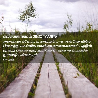 Picture 02 - எண்ணாகமம் 28:20 TAMIRV - அவைகளுக்கேற்ற - Bible Verse Picture