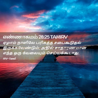 Picture 02 - எண்ணாகமம் 28:25 TAMIRV - ஏழாம் நாளிலே - Bible Verse Picture