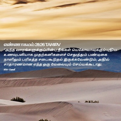Picture 02 - எண்ணாகமம் 28:26 TAMIRV - “அந்த - Bible Verse Picture