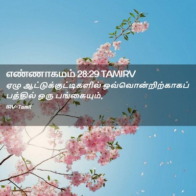 Picture 02 - எண்ணாகமம் 28:29 TAMIRV - ஏழு - Bible Verse Picture
