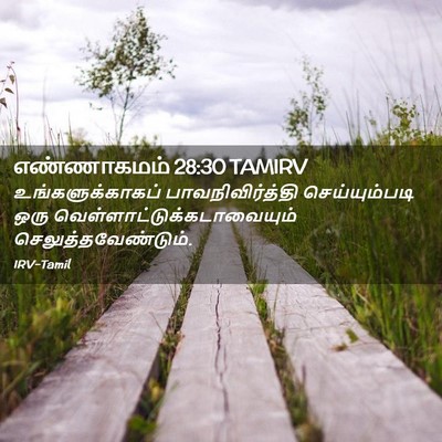 Picture 02 - எண்ணாகமம் 28:30 TAMIRV - உங்களுக்காகப் - Bible Verse Picture