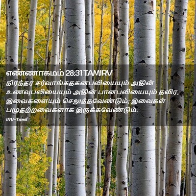 Picture 02 - எண்ணாகமம் 28:31 TAMIRV - நிரந்தர - Bible Verse Picture
