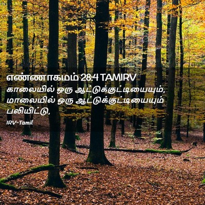 Picture 02 - எண்ணாகமம் 28:4 TAMIRV - காலையில் ஒரு - Bible Verse Picture