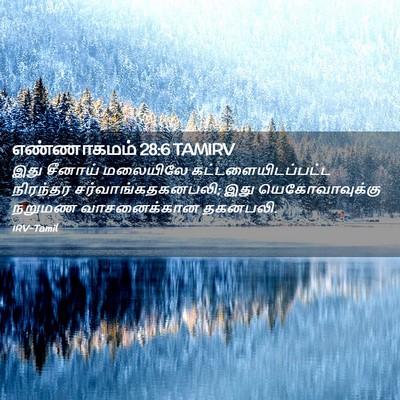 Picture 02 - எண்ணாகமம் 28:6 TAMIRV - இது சீனாய் - Bible Verse Picture
