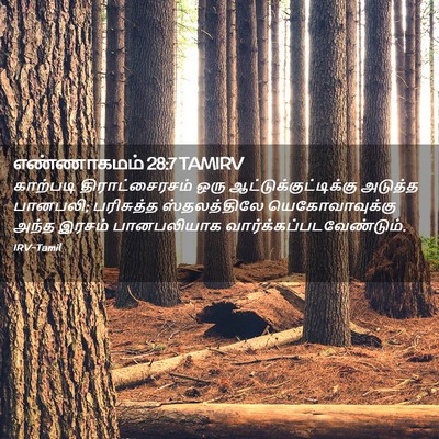 Picture 02 - எண்ணாகமம் 28:7 TAMIRV - காற்படி - Bible Verse Picture