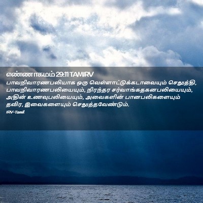 Picture 02 - எண்ணாகமம் 29:11 TAMIRV - பாவநிவாரணபலியாக - Bible Verse Picture