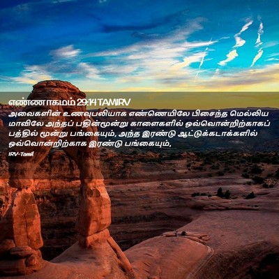 Picture 02 - எண்ணாகமம் 29:14 TAMIRV - அவைகளின் - Bible Verse Picture