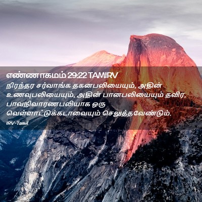 Picture 02 - எண்ணாகமம் 29:22 TAMIRV - நிரந்தர சர்வாங்க - Bible Verse Picture