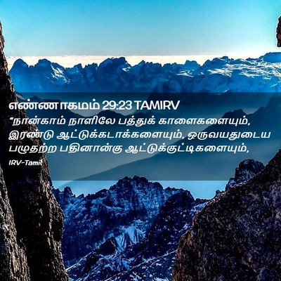 Picture 02 - எண்ணாகமம் 29:23 TAMIRV - “நான்காம் நாளிலே - Bible Verse Picture
