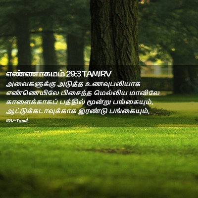 Picture 02 - எண்ணாகமம் 29:3 TAMIRV - அவைகளுக்கு அடுத்த - Bible Verse Picture