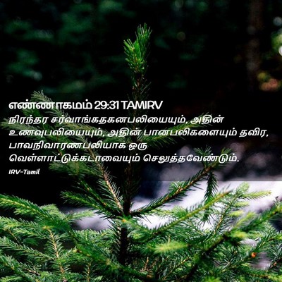 Picture 02 - எண்ணாகமம் 29:31 TAMIRV - நிரந்தர - Bible Verse Picture