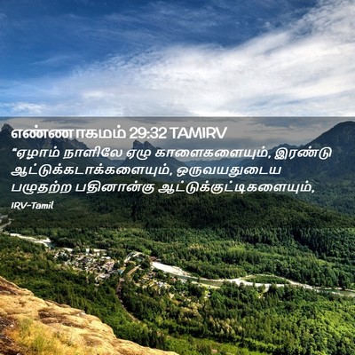 Picture 02 - எண்ணாகமம் 29:32 TAMIRV - “ஏழாம் நாளிலே ஏழு - Bible Verse Picture