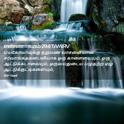 Picture 02 - எண்ணாகமம் 29:8 TAMIRV - யெகோவாவுக்கு - Bible Verse Picture