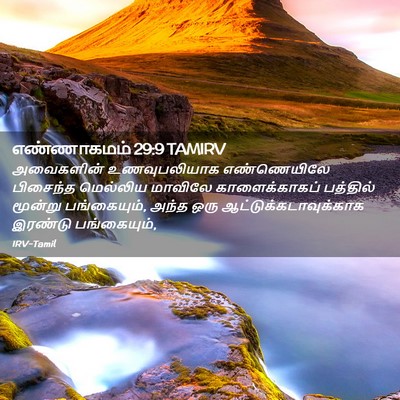Picture 02 - எண்ணாகமம் 29:9 TAMIRV - அவைகளின் - Bible Verse Picture
