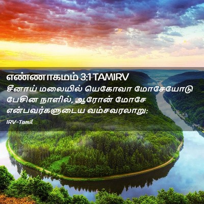 Picture 02 - எண்ணாகமம் 3:1 TAMIRV - சீனாய் மலையில் - Bible Verse Picture