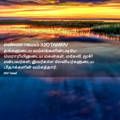 Picture 02 - எண்ணாகமம் 3:20 TAMIRV - தங்களுடைய - Bible Verse Picture