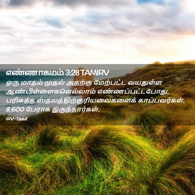 Picture 02 - எண்ணாகமம் 3:28 TAMIRV - ஒரு மாதம் முதல் - Bible Verse Picture