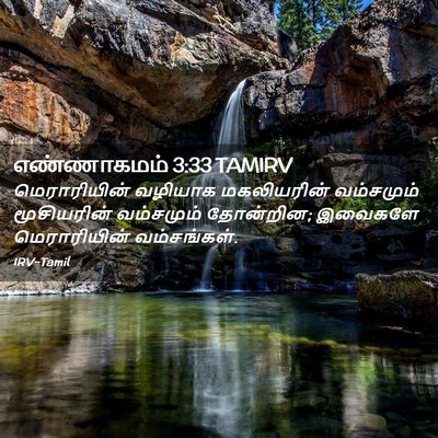 Picture 02 - எண்ணாகமம் 3:33 TAMIRV - மெராரியின் வழியாக - Bible Verse Picture