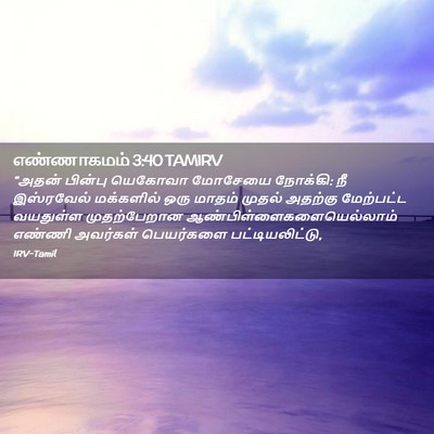 Picture 02 - எண்ணாகமம் 3:40 TAMIRV - “அதன் பின்பு - Bible Verse Picture
