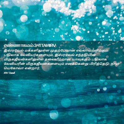 Picture 02 - எண்ணாகமம் 3:41 TAMIRV - இஸ்ரவேல் - Bible Verse Picture