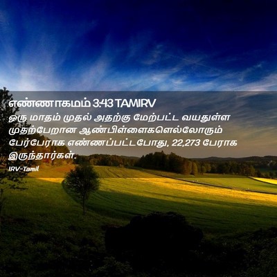 Picture 02 - எண்ணாகமம் 3:43 TAMIRV - ஒரு மாதம் முதல் - Bible Verse Picture
