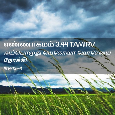 Picture 02 - எண்ணாகமம் 3:44 TAMIRV - அப்பொழுது யெகோவா - Bible Verse Picture
