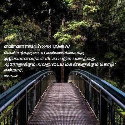 Picture 02 - எண்ணாகமம் 3:48 TAMIRV - லேவியர்களுடைய - Bible Verse Picture