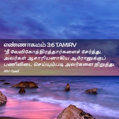 Picture 02 - எண்ணாகமம் 3:6 TAMIRV - “நீ - Bible Verse Picture