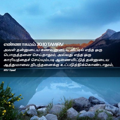 Picture 02 - எண்ணாகமம் 30:10 TAMIRV - அவள் தன்னுடைய - Bible Verse Picture