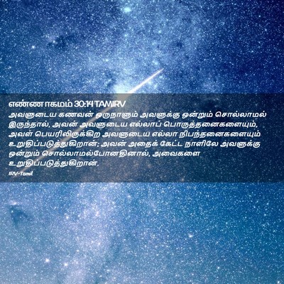Picture 02 - எண்ணாகமம் 30:14 TAMIRV - அவளுடைய கணவன் - Bible Verse Picture