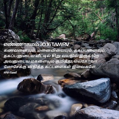 Picture 02 - எண்ணாகமம் 30:16 TAMIRV - கணவனையும், - Bible Verse Picture
