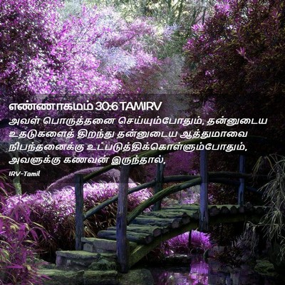 Picture 02 - எண்ணாகமம் 30:6 TAMIRV - அவள் பொருத்தனை - Bible Verse Picture