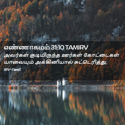 Picture 02 - எண்ணாகமம் 31:10 TAMIRV - அவர்கள் - Bible Verse Picture