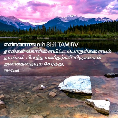 Picture 02 - எண்ணாகமம் 31:11 TAMIRV - தாங்கள் - Bible Verse Picture