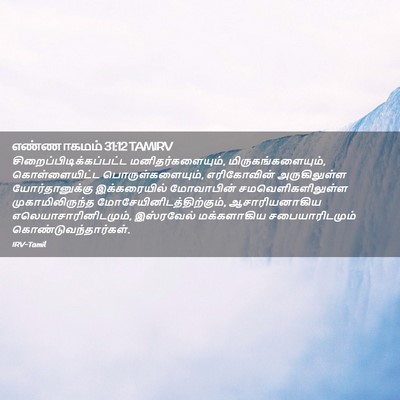 Picture 02 - எண்ணாகமம் 31:12 TAMIRV -  - Bible Verse Picture