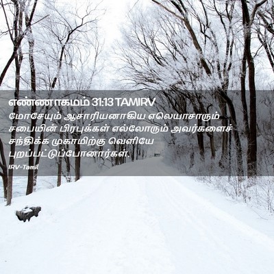 Picture 02 - எண்ணாகமம் 31:13 TAMIRV - மோசேயும் - Bible Verse Picture