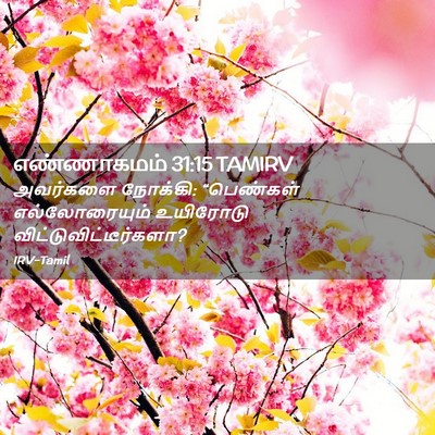 Picture 02 - எண்ணாகமம் 31:15 TAMIRV - அவர்களை நோக்கி: - Bible Verse Picture