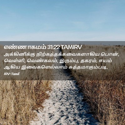 Picture 02 - எண்ணாகமம் 31:22 TAMIRV - அக்கினிக்கு - Bible Verse Picture