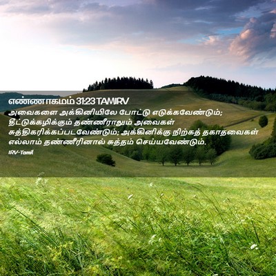 Picture 02 - எண்ணாகமம் 31:23 TAMIRV - அவைகளை - Bible Verse Picture