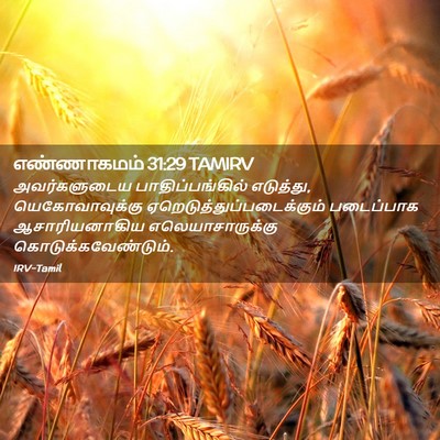 Picture 02 - எண்ணாகமம் 31:29 TAMIRV - அவர்களுடைய - Bible Verse Picture