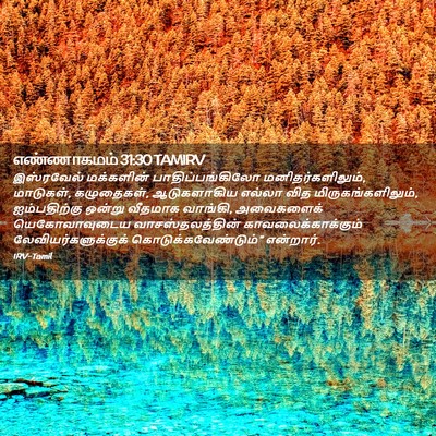 Picture 02 - எண்ணாகமம் 31:30 TAMIRV - இஸ்ரவேல் மக்களின் - Bible Verse Picture