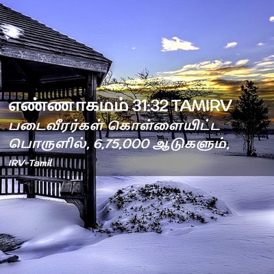 Picture 02 - எண்ணாகமம் 31:32 TAMIRV - படைவீரர்கள் - Bible Verse Picture