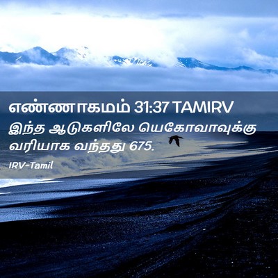 Picture 02 - எண்ணாகமம் 31:37 TAMIRV - இந்த ஆடுகளிலே - Bible Verse Picture