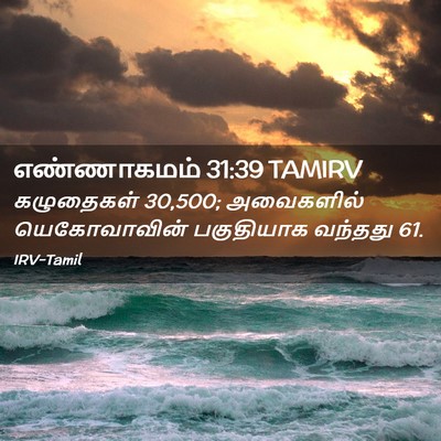 Picture 02 - எண்ணாகமம் 31:39 TAMIRV - கழுதைகள் 30,500; - Bible Verse Picture
